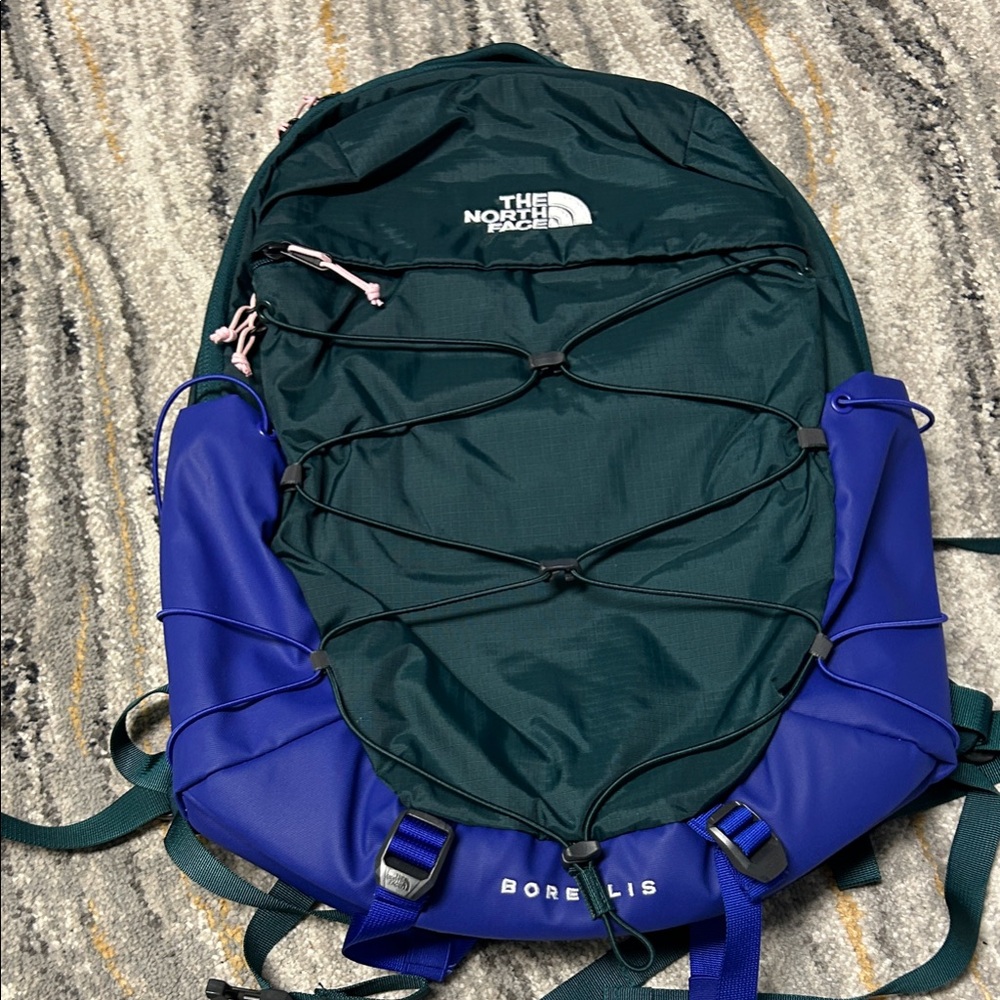 The North Face Borealis Backpack - Green and Blue